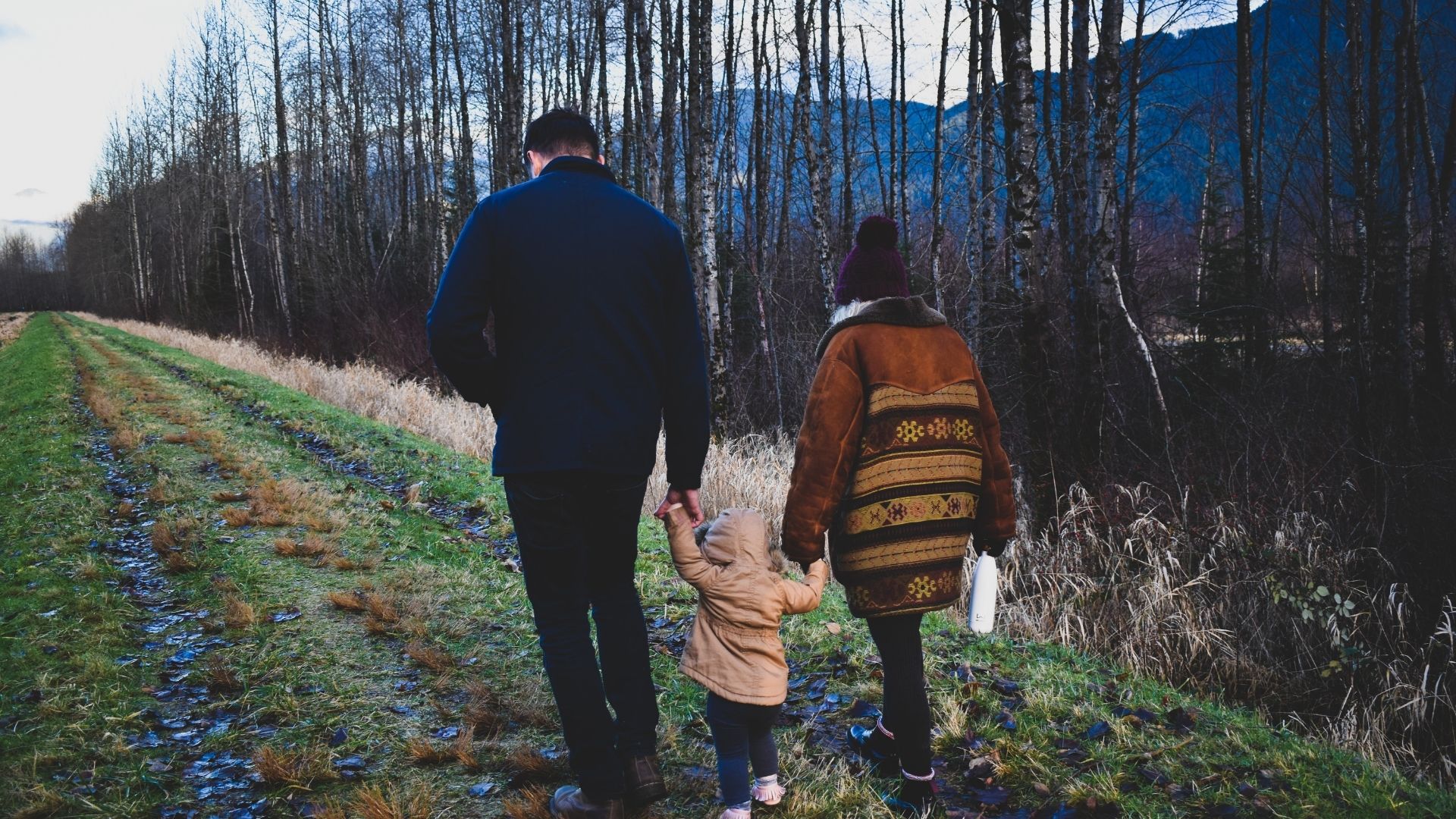 Hvornår er det tid til at gå i parterapi? Psykologer i Danmark Foto